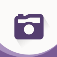 Instagram Feed 250x250
